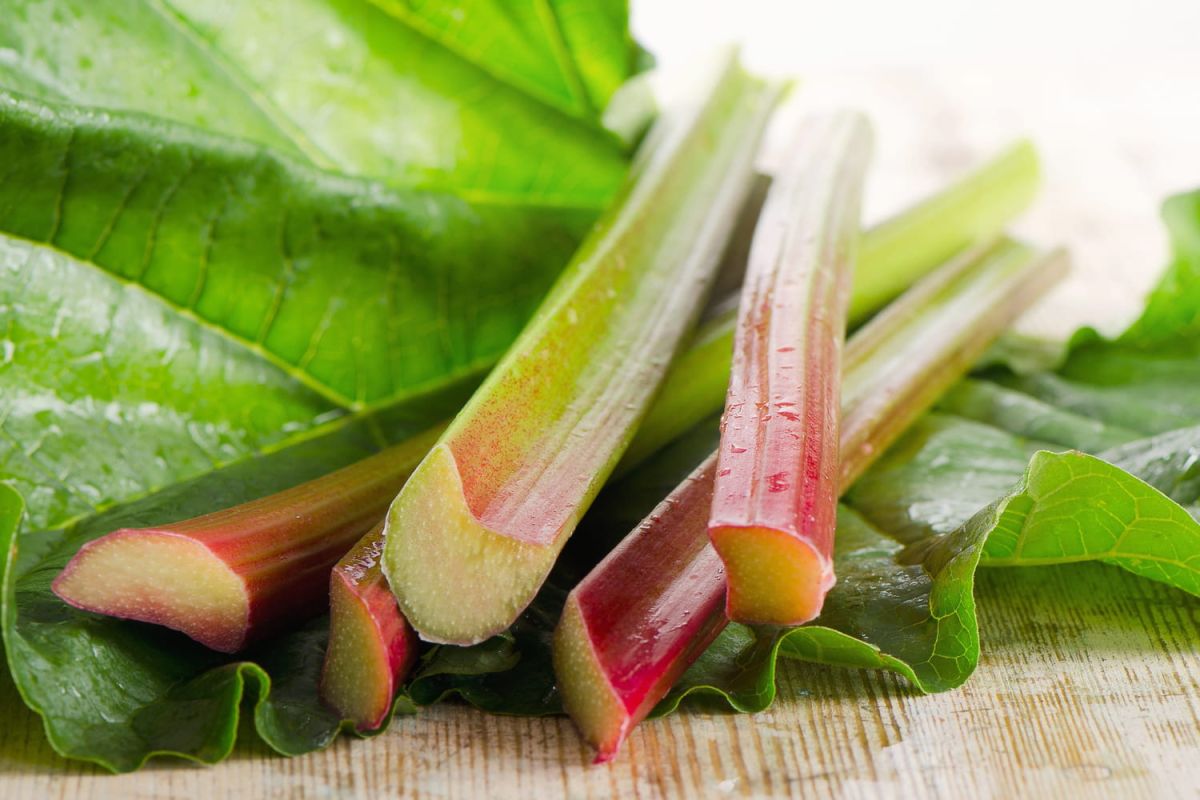 Les astuces pour congeler la rhubarbe comme un pro