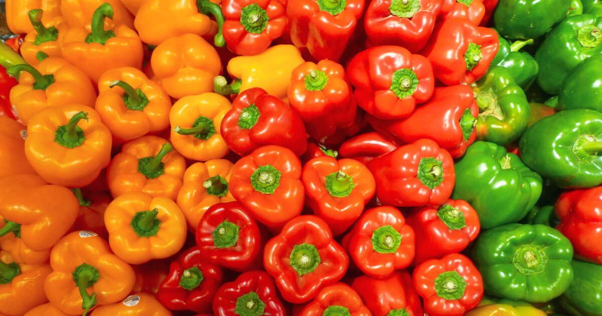les secrets d'une conservation réussie des poivrons