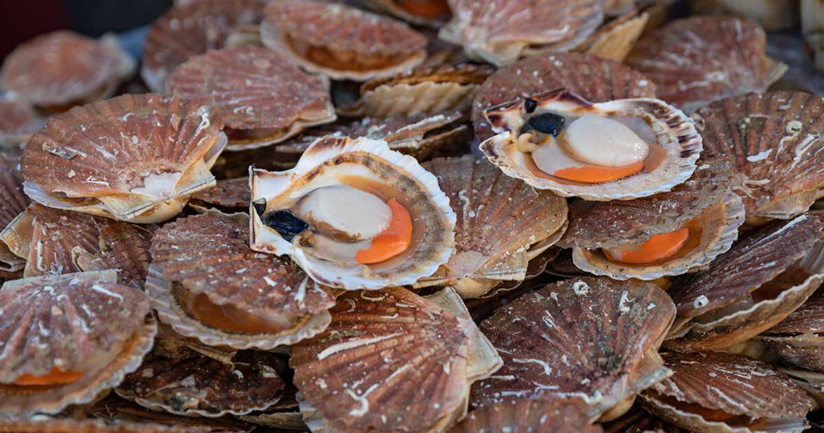 Décoquiller une Saint-Jacques : la méthode d'un chef révélée