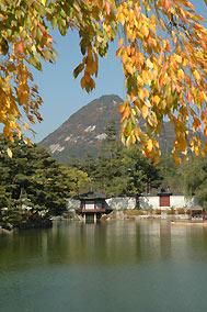 Séoul embrasse la slow food pour un bien-être retrouvé