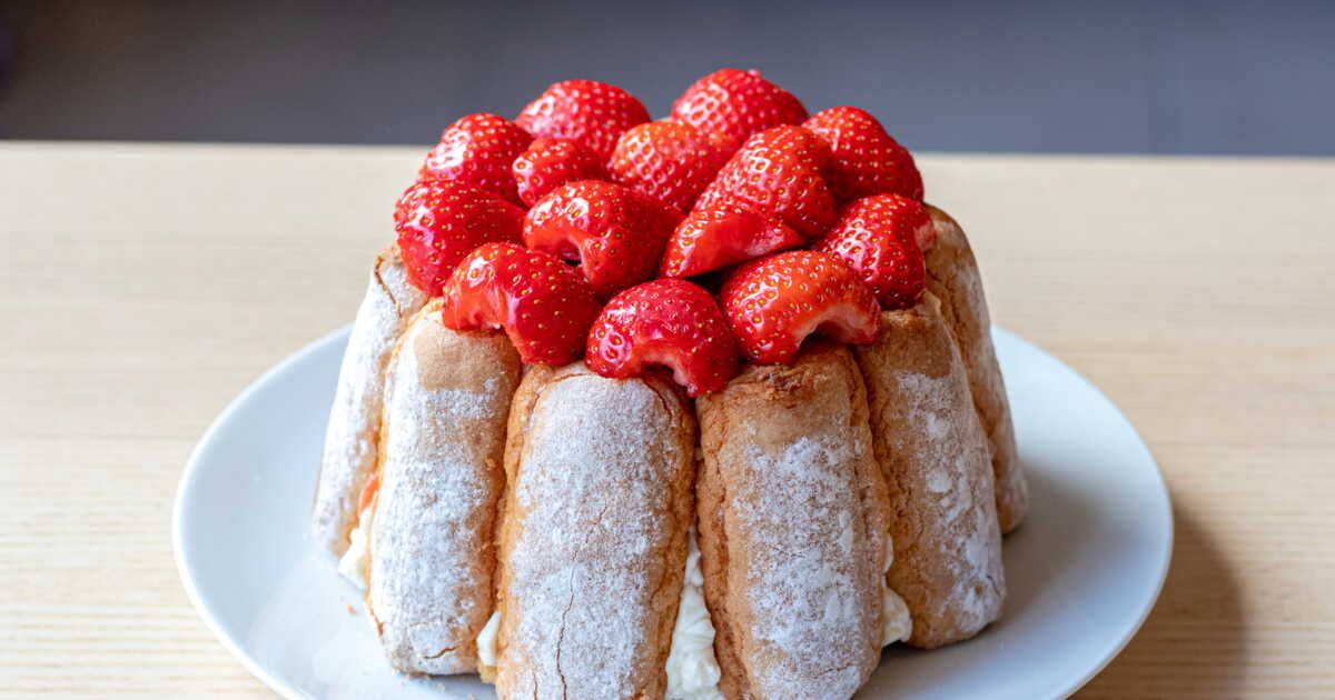 Des recettes de charlotte aux fraises et chocolat à découvrir absolument