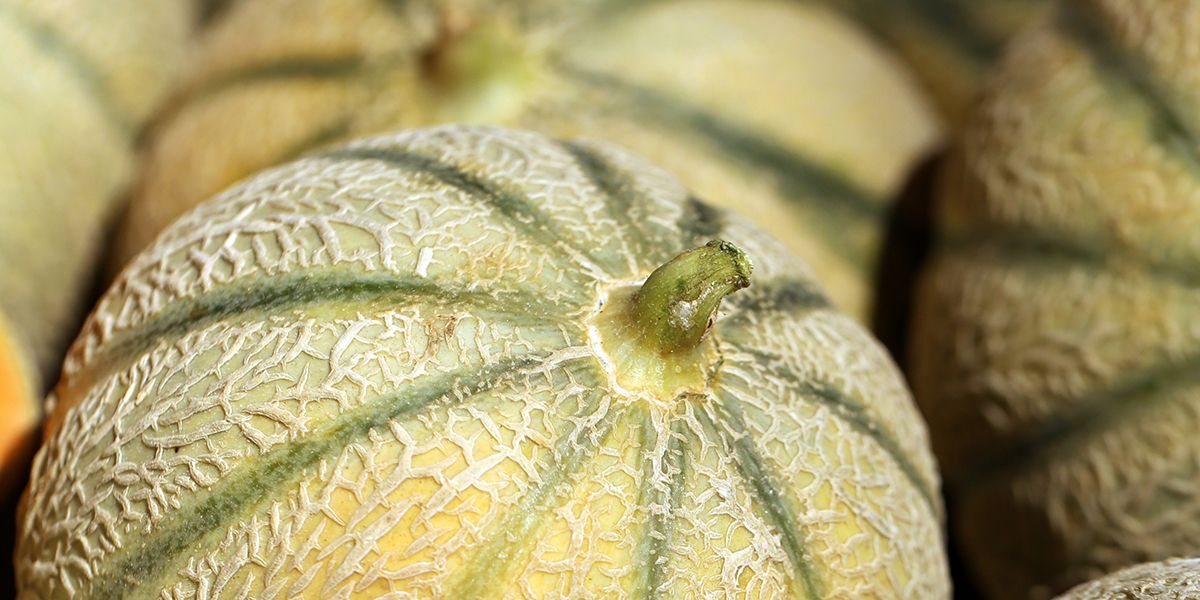 Comment dénicher le melon parfait : nos astuces de l'été