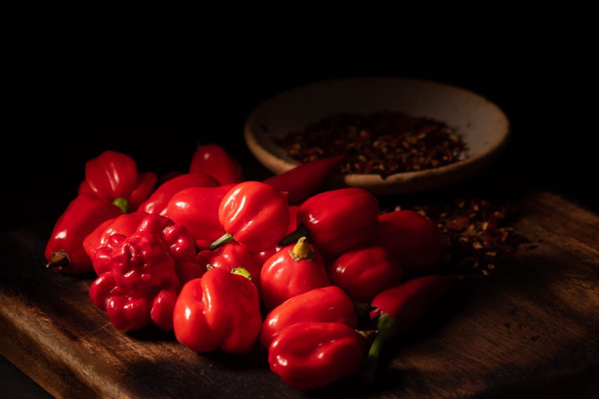 Qu'est-ce que l'échelle de Scoville ?
