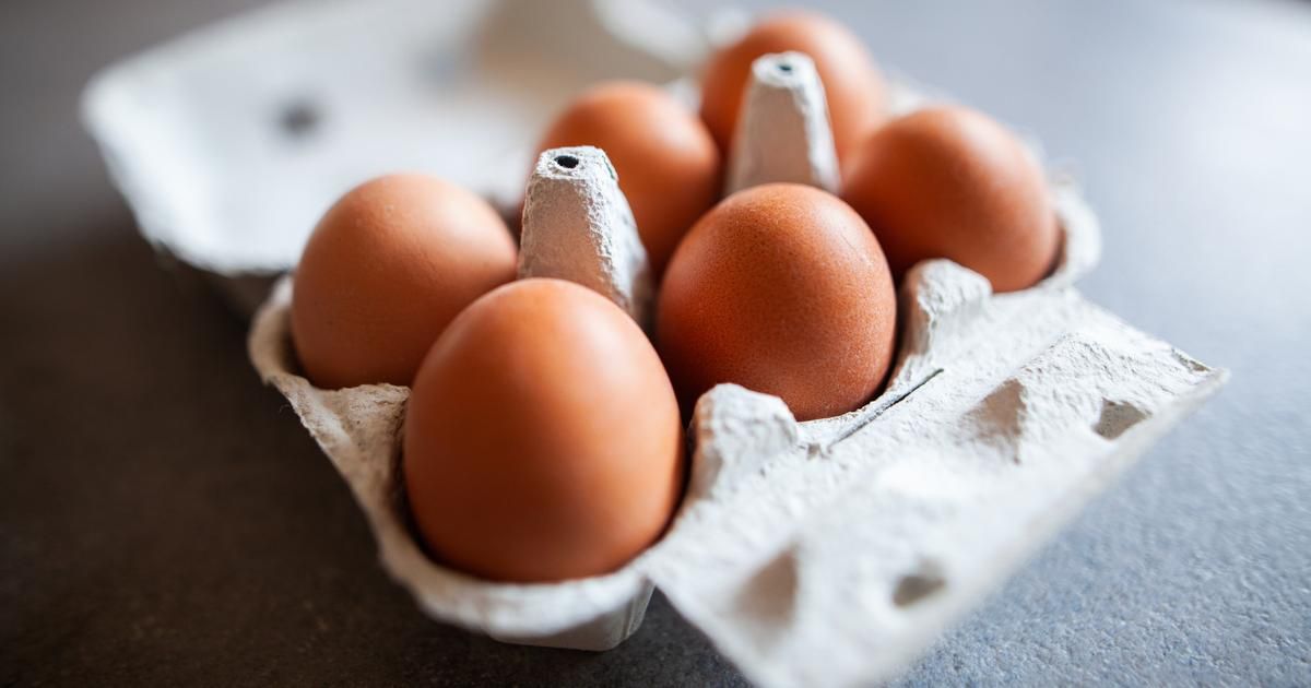 Manger des œufs tous les jours : mythe ou réalité ?