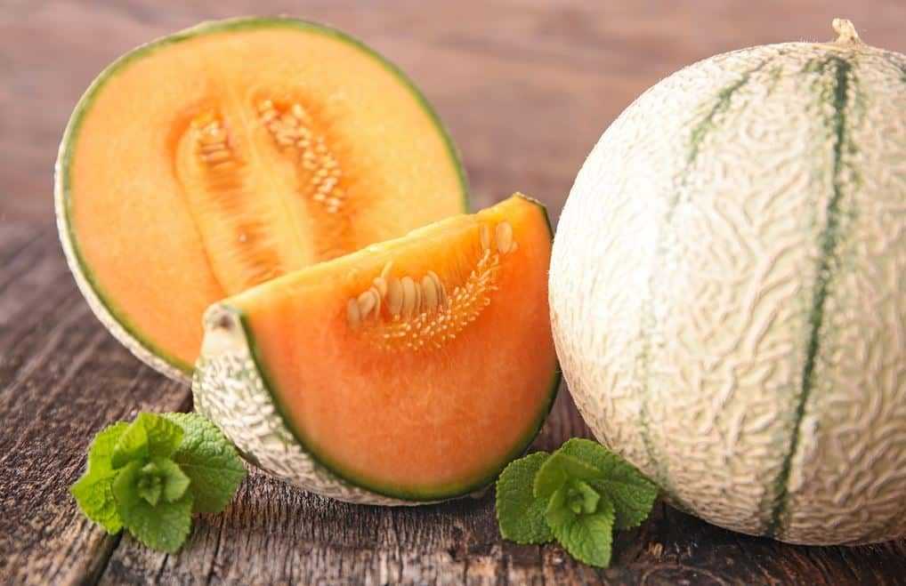 9 conseils essentiels pour choisir le melon parfait