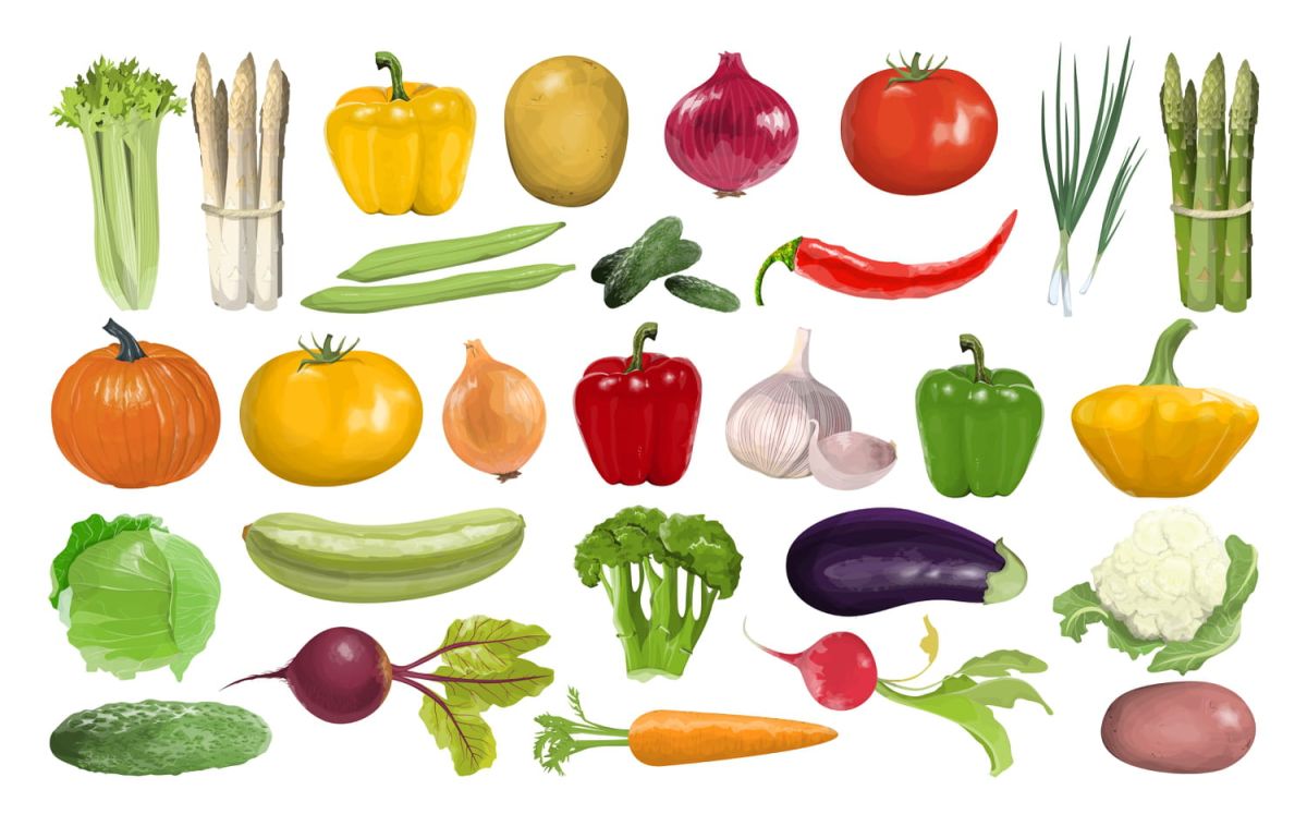 Les légumes de saison : un guide pour bien manger tout au long de l'année