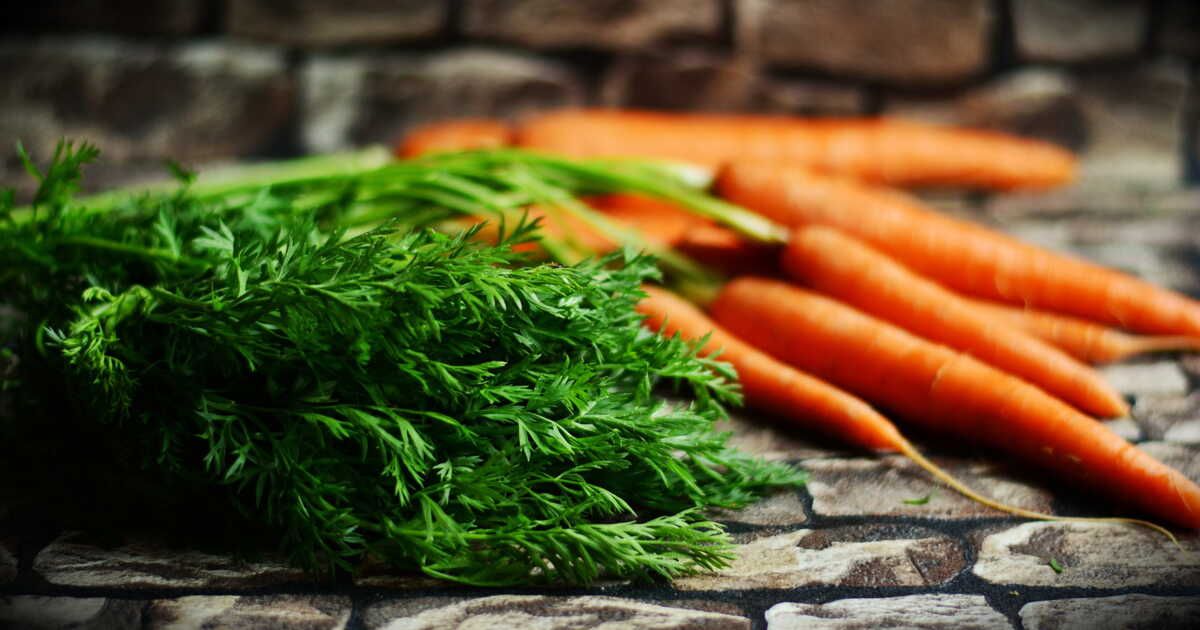 Des recettes savoureuses à base de fanes de carottes