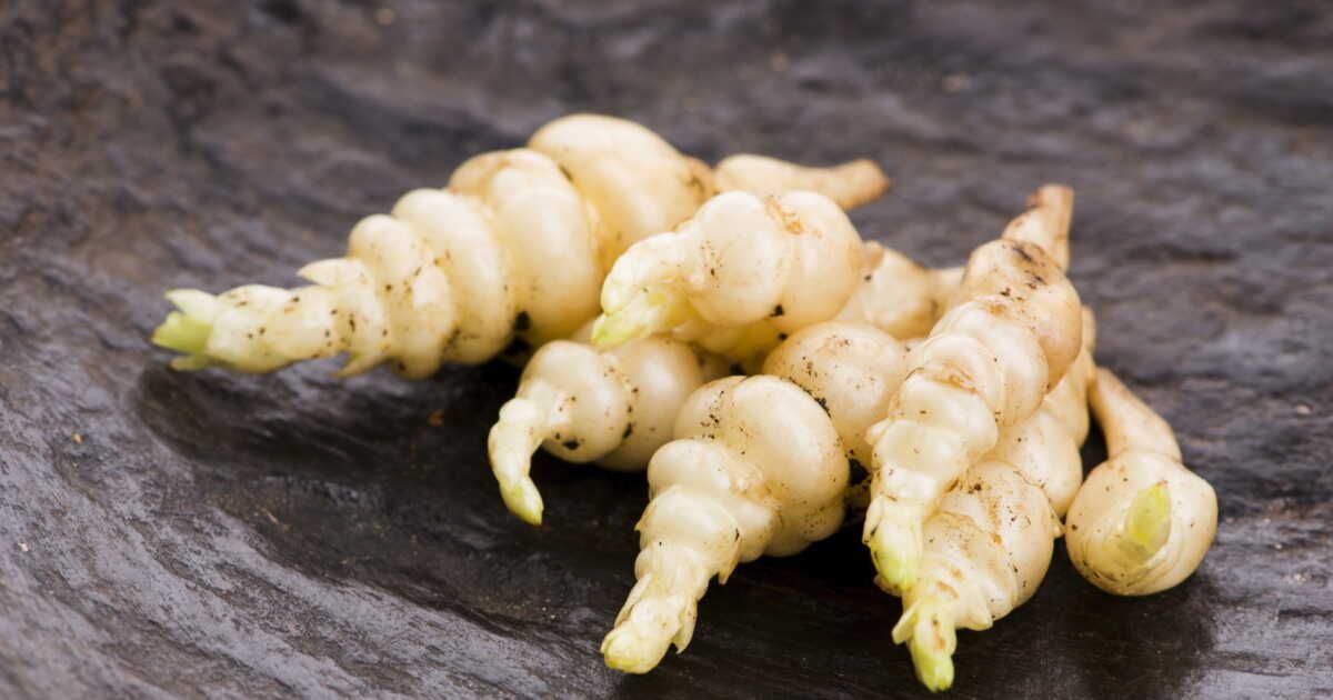 Comment cuire des crosnes ?