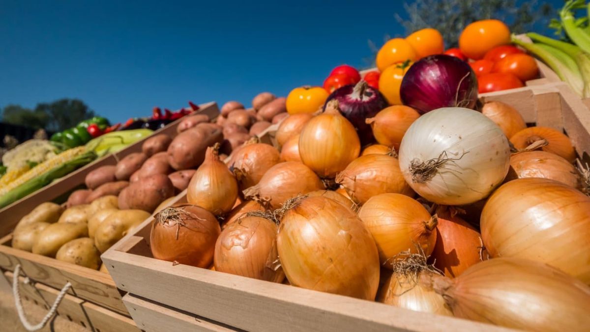 les 9 aliments à éviter pour ne pas sentir mauvais