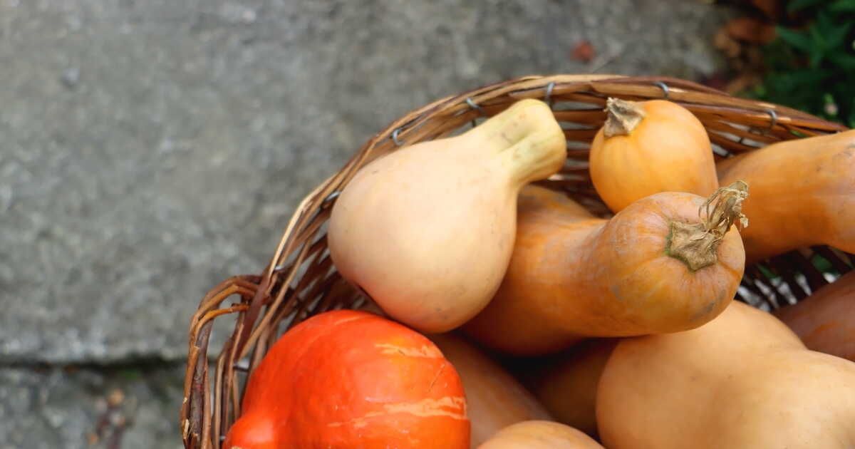 cuisiner les courges : recettes automnales simples et savoureuses
