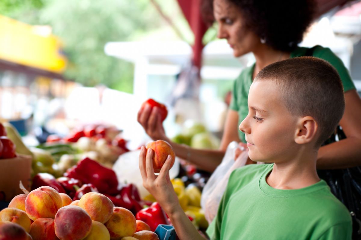 Un été sous haute surveillance alimentaire