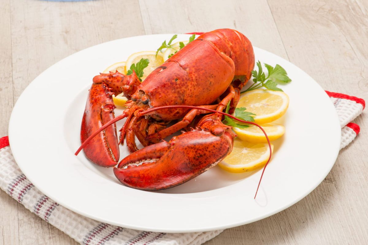 Maîtriser la cuisson du homard pour des fêtes réussies