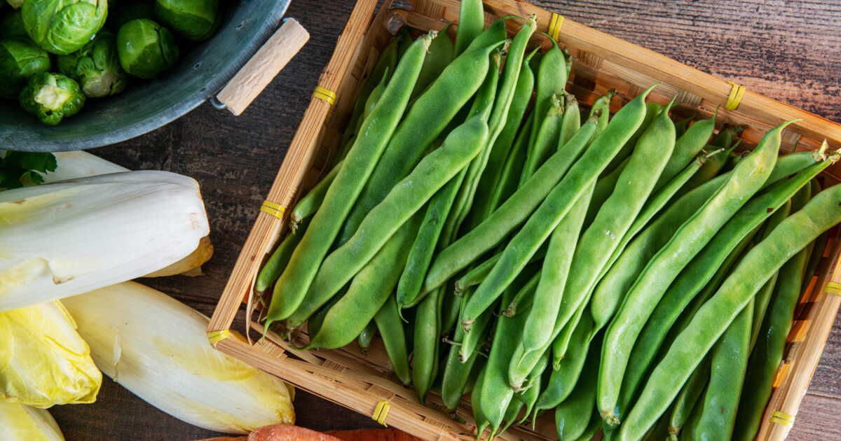 La cuisson des haricots plats : secrets pour préserver leur croquant et leur éclat
