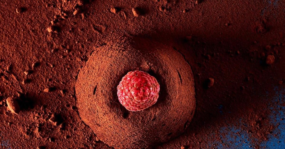 Des douceurs chocolatées pour un Noël gourmand