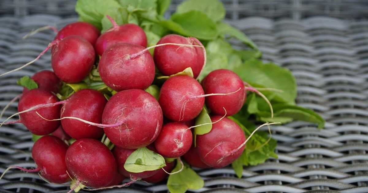 5 idées recettes avec des radis